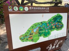 -西双版纳原始森林公园
