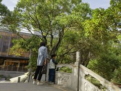 -龙潭水乡