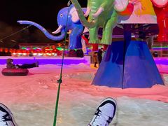 -沈阳奥体冰雪嘉年华