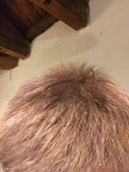 -小齐发型Star·Salon