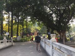 -晓港公园