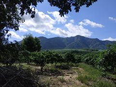 -毛公山瞻仰区售票处