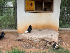-宁波野生动物园