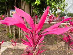 -兴芮温泉度假区