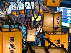 -大潮淮·淮扬菜(何园旗舰店)