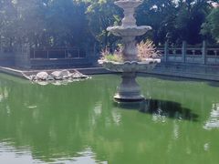 -洛阳白马寺
