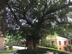 -鼓浪屿钢琴博物馆