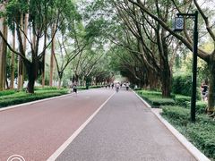-南宁南湖公园