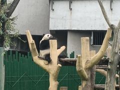 -沈阳森林动物园
