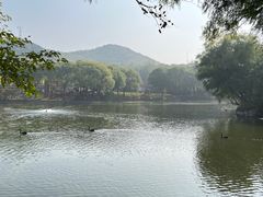 -石家庄市动物园