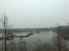 -溱湖国家湿地公园