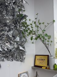 -茶发Salon·烫发染发理发