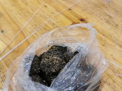 -叶氏麻糍(鼓浪屿店)