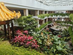 -广州白天鹅宾馆