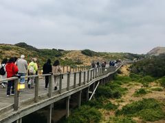 -企鹅岛