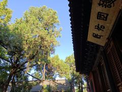 -洛阳白马寺