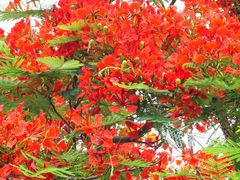 -二沙岛艺术公园