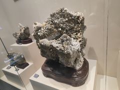 -安徽省地质博物馆