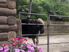 -燕塞湖鸟语林景区