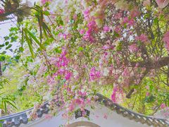 -深圳国际园林花卉博览园