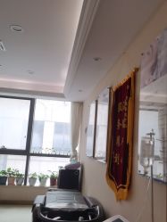 -碧莲盛·不剃发植发