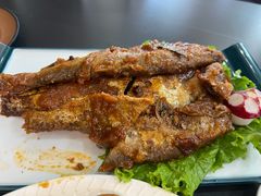 -诺敏塔拉奶茶-布里亚特包子-手把肉(锦都会店)