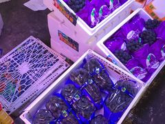 -双福水果批发市场