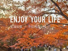 -秋霞圃