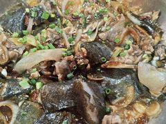 -石岐乳鸽村(南海第三分店)