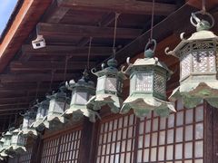 -奈良公园