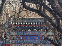 -北京国子监胡同
