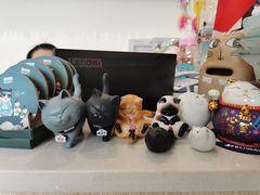 -凯特喵百思猫专科医院