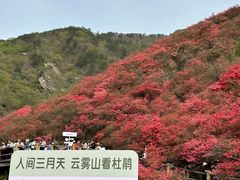 -木兰云雾山