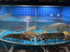 -大洋海鲜居·海鲜特色菜(墟沟海鲜美食城店)