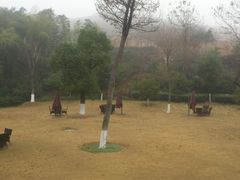 餐厅后面的小花园-天目湖御水温泉·度假酒店