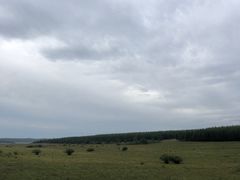 -塞罕坝国家级自然保护区