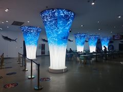 -深海中餐厅(国家海洋博物馆店)