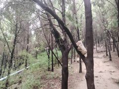 -腊山国家森林公园