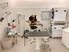 -comecome来吧宠物(奥克斯中心店)