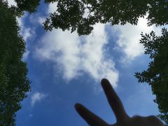 -东平国家森林公园