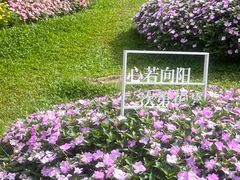 -云溪植物园
