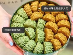 -珍妮曲奇聪明小熊(尖沙咀店)