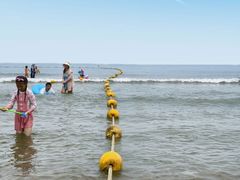 -木柴豆腐·活海鲜·鲁菜(岚山路店)