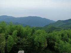 -江南天池