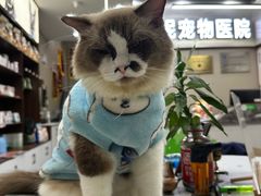 -喜庭海鲜自助(北辰三角洲北辰荟店)