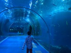 -波塞冬旅游度假区