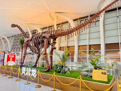 -银川河东国际机场