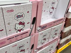 -山姆会员商店(亦庄创意生活广场店)