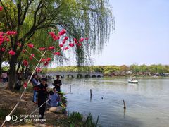 -昆山城市生态森林公园