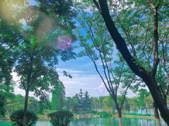 -金银湖国家城市湿地公园